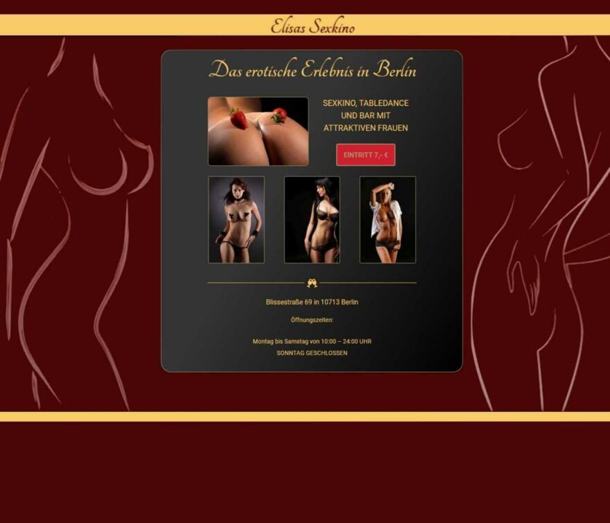 Screenshot der Startseite von der Webseite Elisas Sexkino