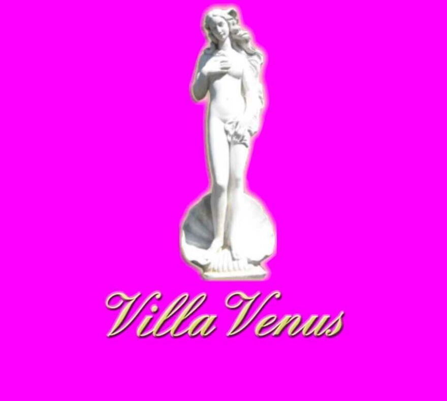 Screenshot der Webseite des ehemaligen Bordells Villa Venus