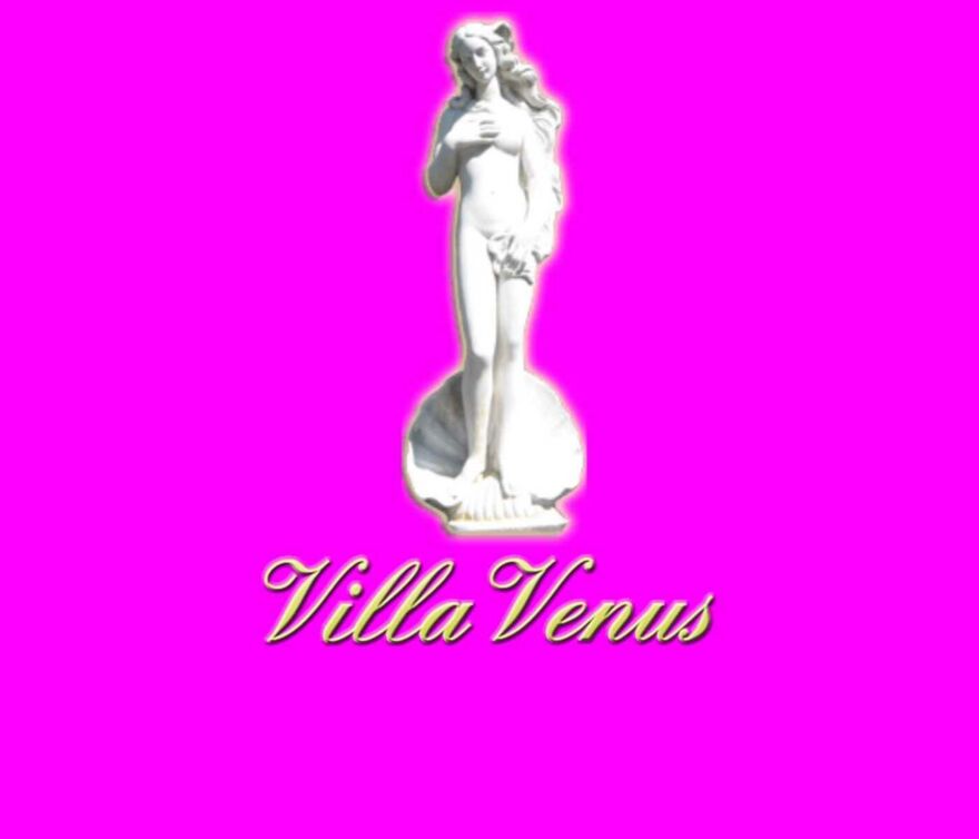 Screenshot der Webseite des ehemaligen Bordells Villa Venus